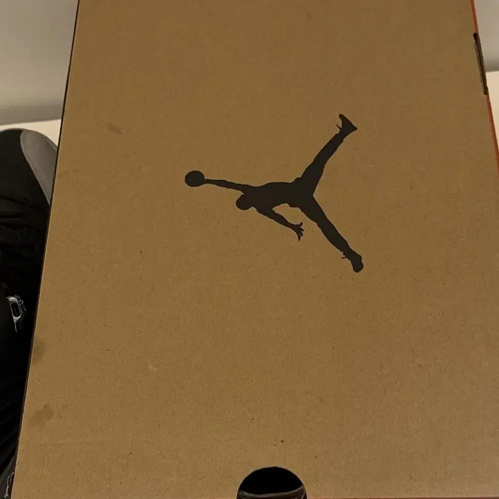 Jordan Air Jordan 12 Retro Barons CT8013-010 Black/Wolf Grey/White